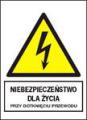 Znaki_elektryczne_ostrzegawcze_typu_A_148x210_folia_samoprzylepna